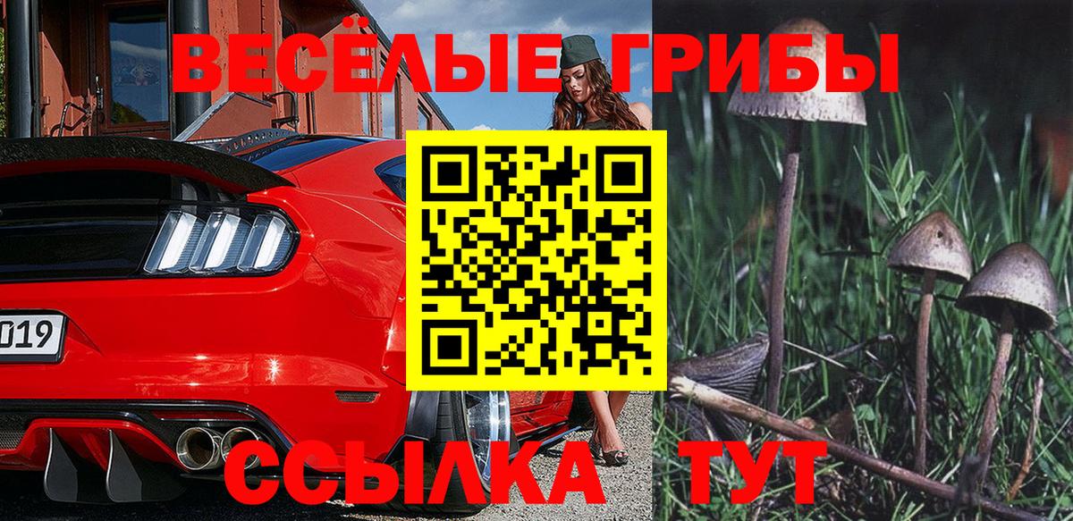 Галлюциногенные грибы мицелий Новодвинск